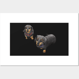 Dachshund Love - Black Version Posters and Art